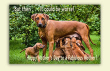 Load image into Gallery viewer, It Could Be Worse